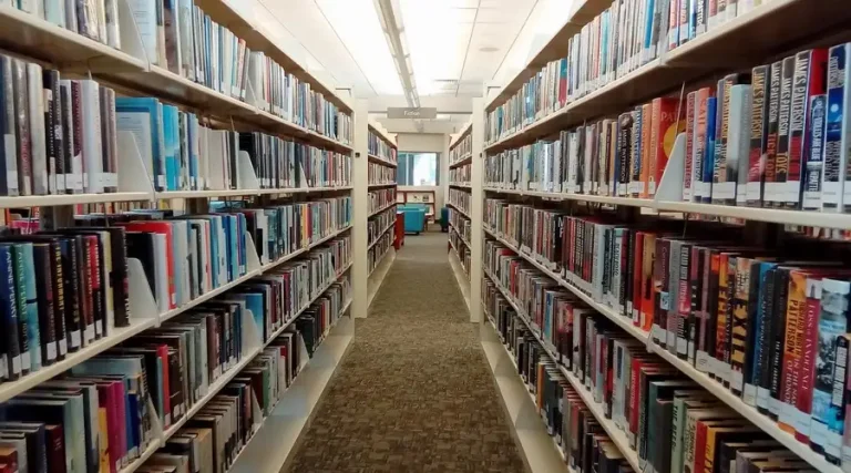 perpustakaan-sekolah
